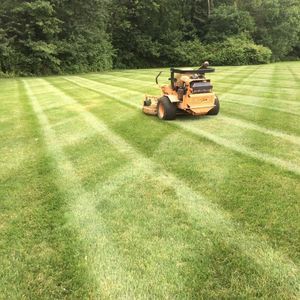 Meet your Posher, Jen